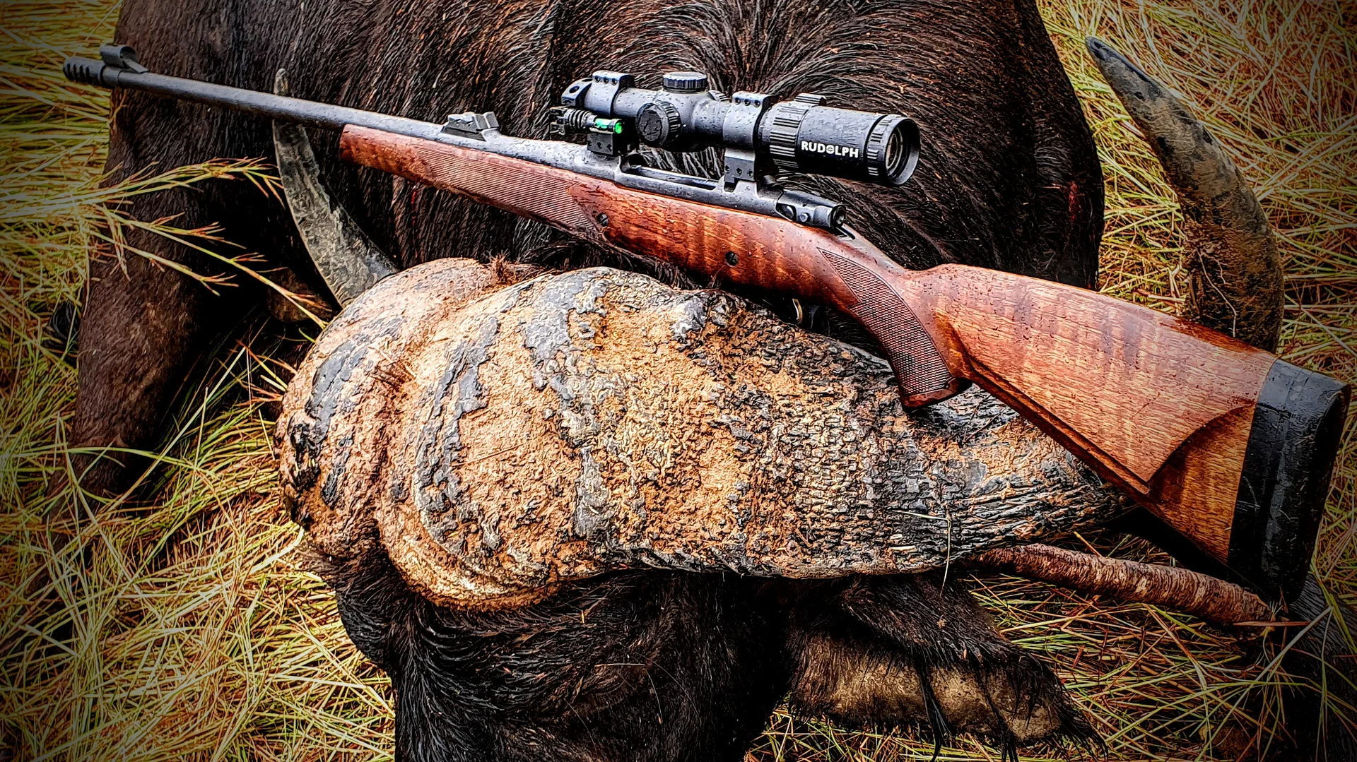 Cape Buffalo & Apex Dangerous Game Stalk