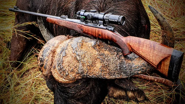 Cape Buffalo Dagga Boy & Heavy Rifle Boss