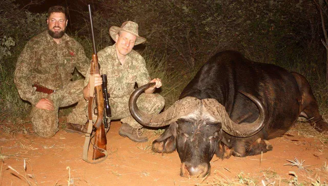 Night-Time Field Recovery of Massive Buffalo Bull