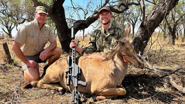 Livingstone Eland Bull: Lord of the Bushveld