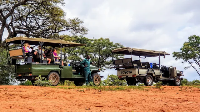 Multi-Generational Open Cruiser Safari Game Drive