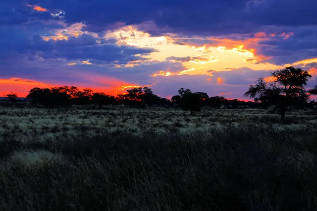 Blazing Twilight Sunset Over Untamed Kalahari Horizon